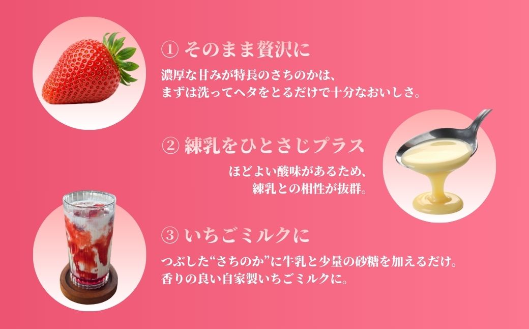 鏡野町産 朝摘みいちご「さちのか」4パック（合計１kg）【2026年1月～4月発送】