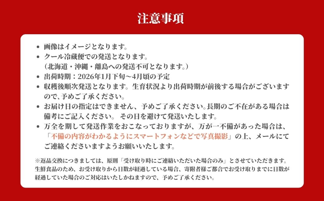 鏡野町産 朝摘みいちご「さちのか」2パック（合計500ｇ）【2026年1月～4月発送】