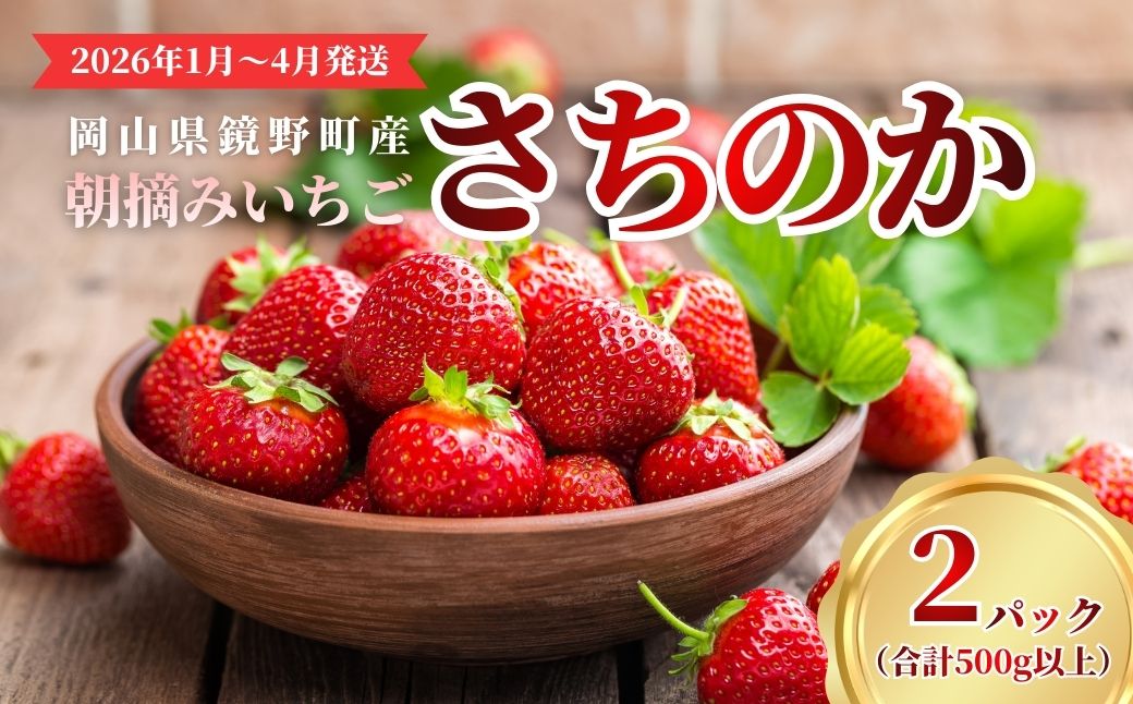 鏡野町産 朝摘みいちご「さちのか」2パック（合計500ｇ）【2026年1月～4月発送】