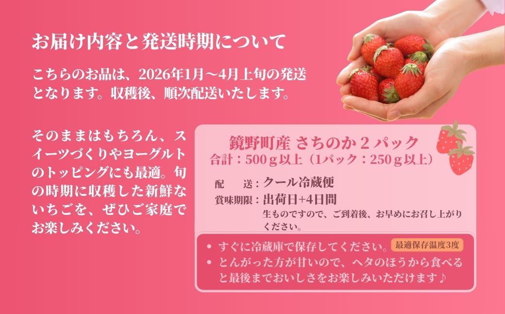 鏡野町産 朝摘みいちご「さちのか」2パック（合計500ｇ）【2026年1月～4月発送】