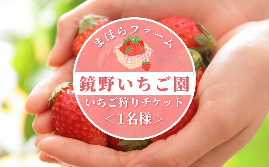 まほらファーム 鏡野いちご園 いちご狩りご招待券（1名様）【2026年2月～5月】
