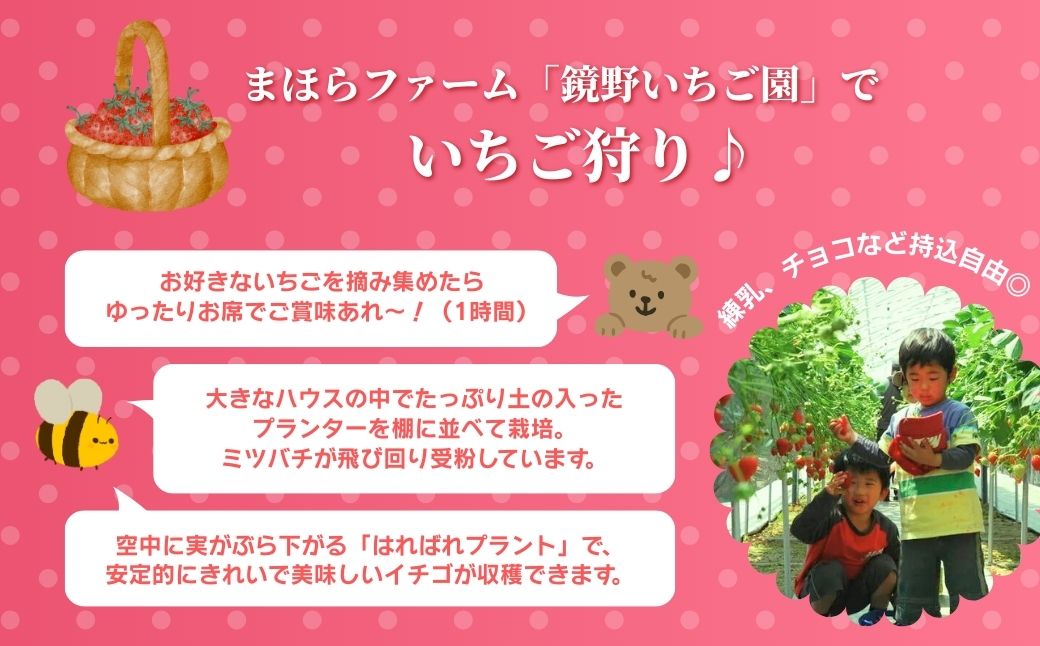 まほらファーム 鏡野いちご園 いちご狩りご招待券（1名様）【2026年2月～5月】