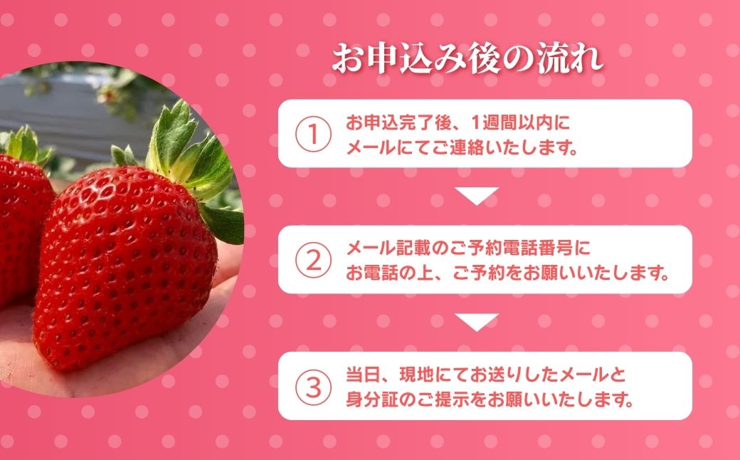 まほらファーム 鏡野いちご園 いちご狩りご招待券（1名様）【2026年2月～5月】