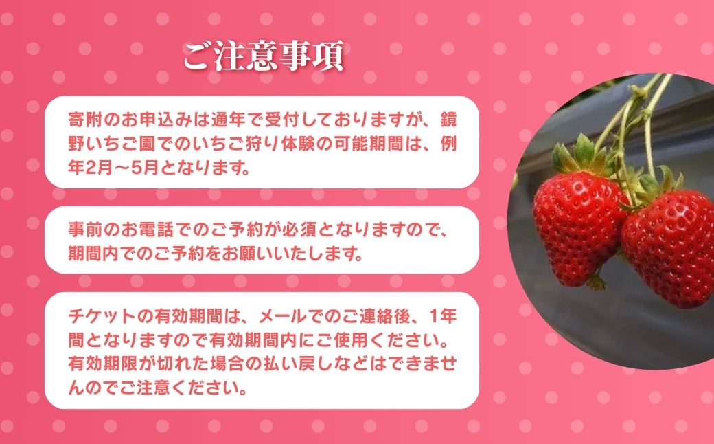 まほらファーム 鏡野いちご園 いちご狩りご招待券（1名様）【2026年2月～5月】