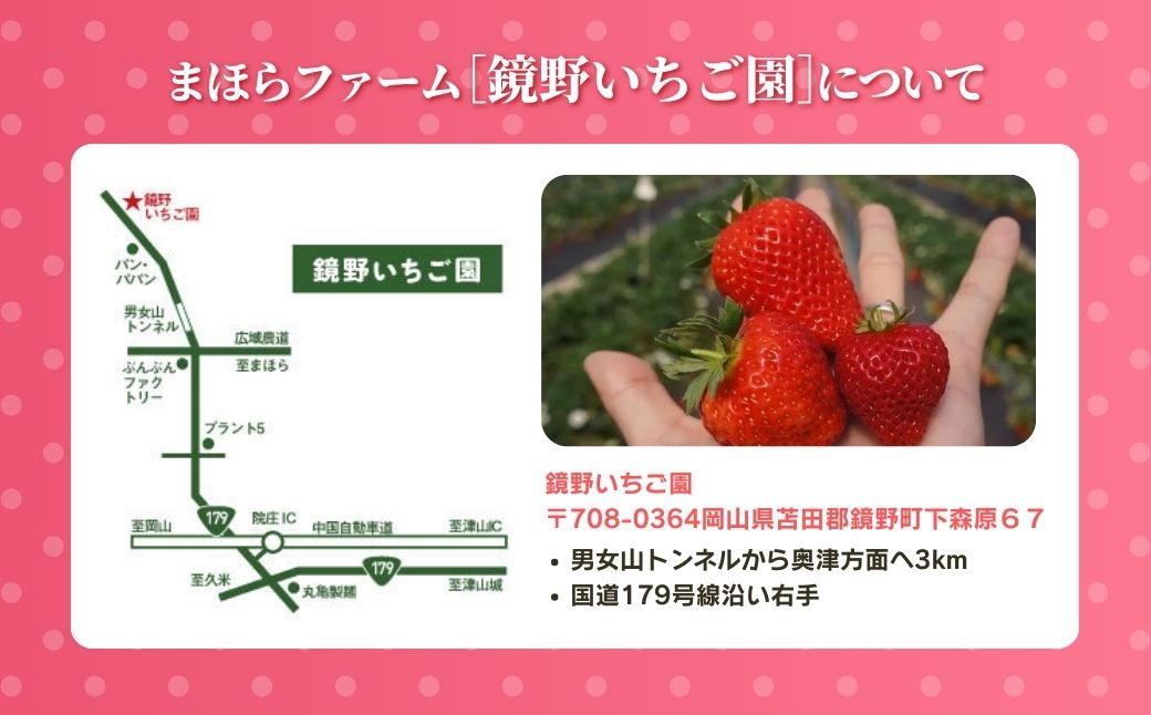 まほらファーム 鏡野いちご園 いちご狩りご招待券（1名様）【2026年2月～5月】