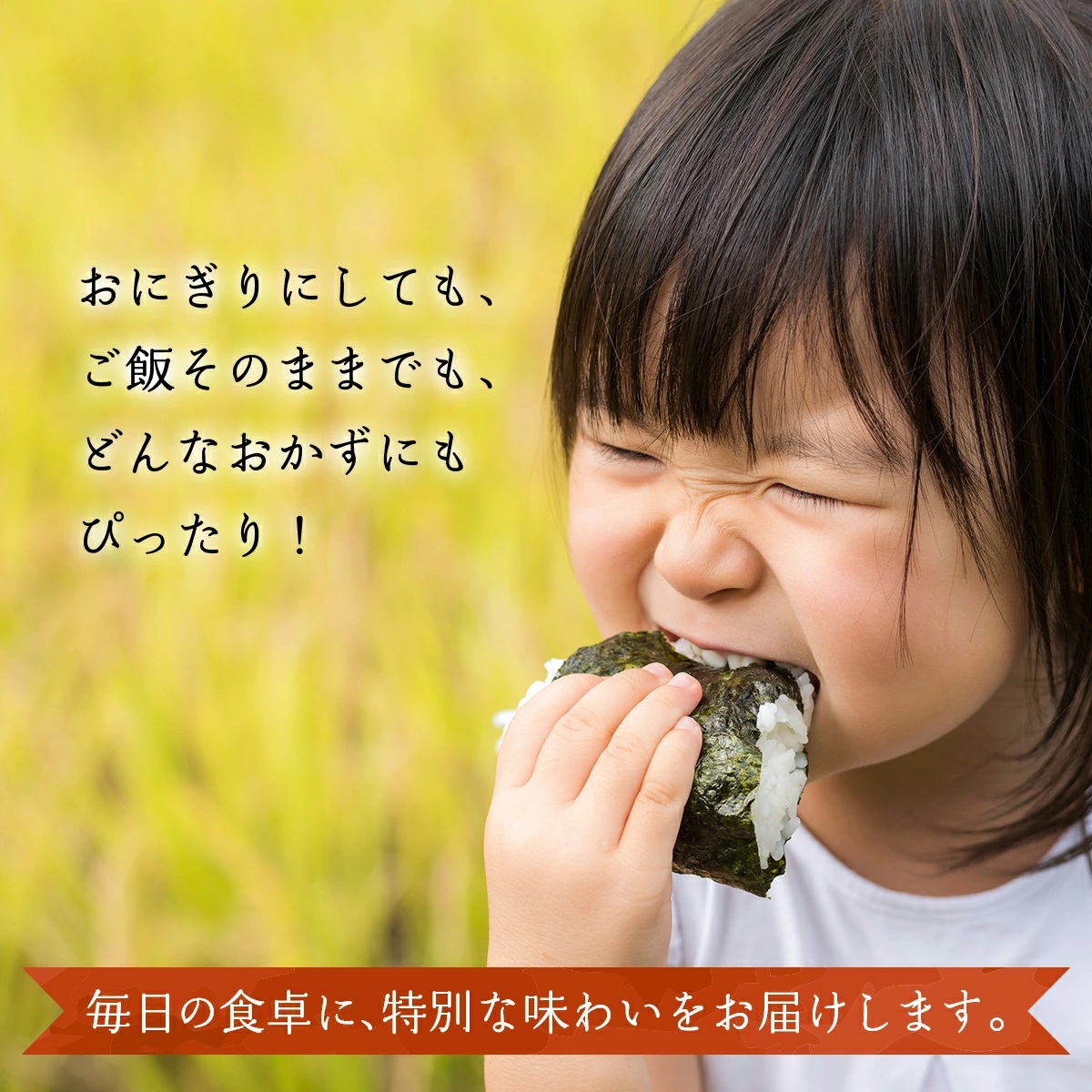 【数量限定！特別寄附額！】令和7年産 鏡野町産 コシヒカリ 精米 10kg（2kg×5袋）