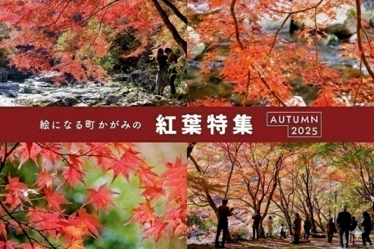 【観光情報】紅葉特集2025 ～絵になる町かがみの紅葉見頃情報～